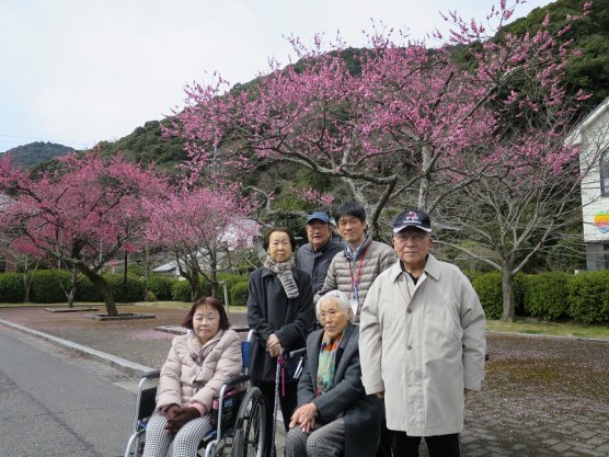 吉香公園へ梅を見にいきました。関連画像